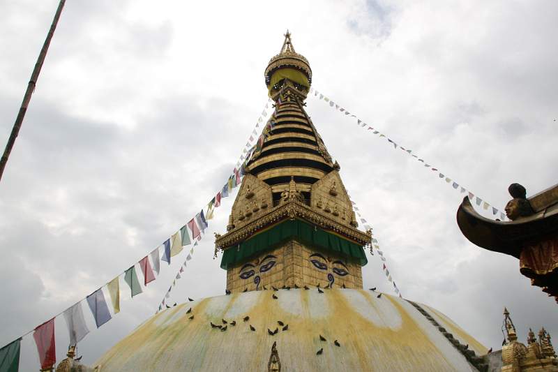 India & Nepal 2011 - 0398